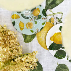 Berkenhouten onderzetters citroen