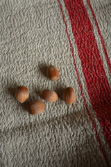 Linnen doek met streep Rood