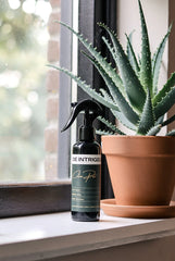 De intrigeur "Coton Pur"